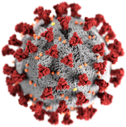 Coronavirus spaart kinderen op mysterieuze wijze, maar maakt oudere mensen ziek.